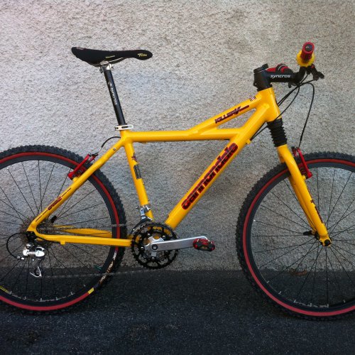 fuji bighorn 29 1.5