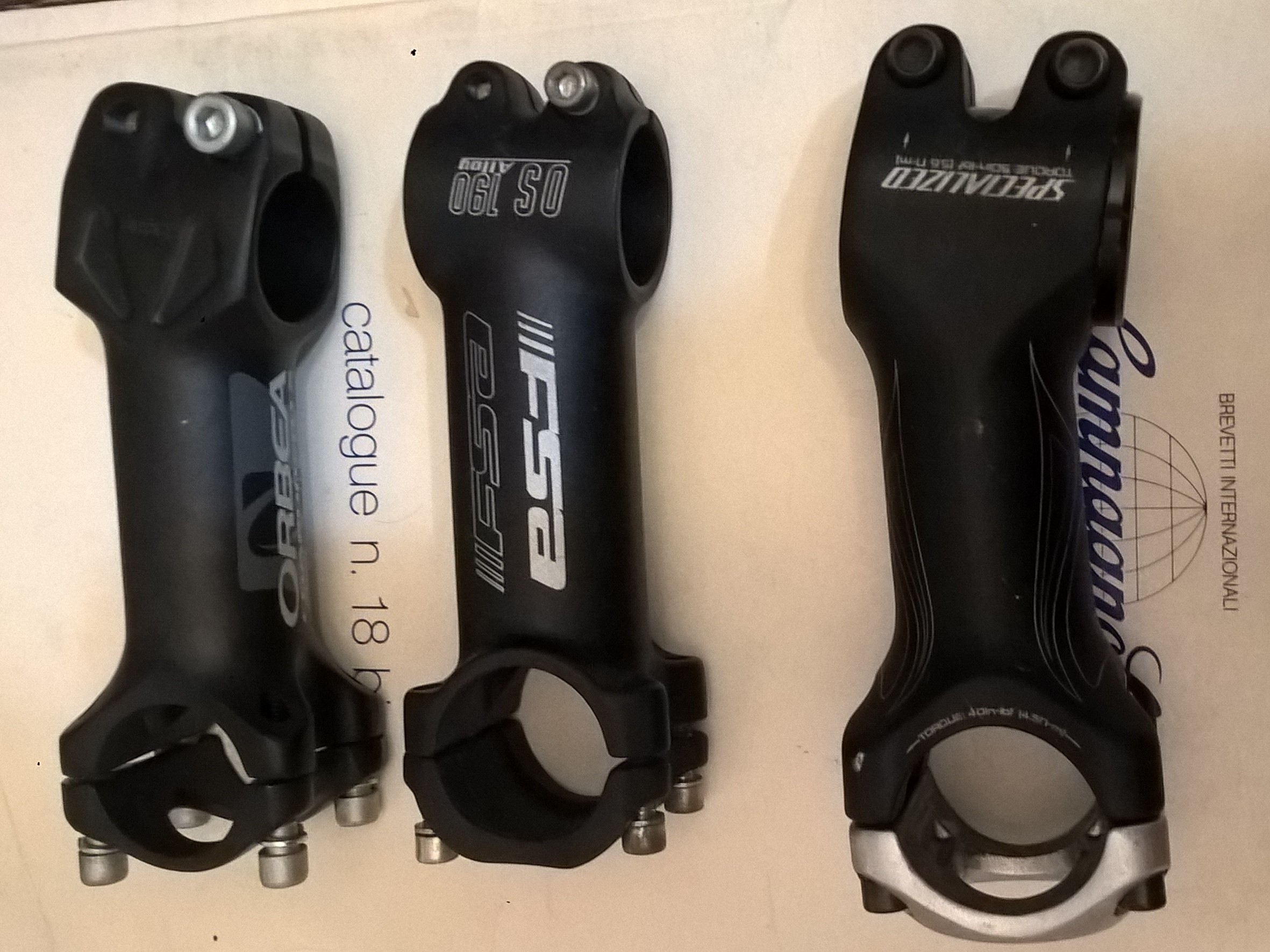 100 mm stems.jpg