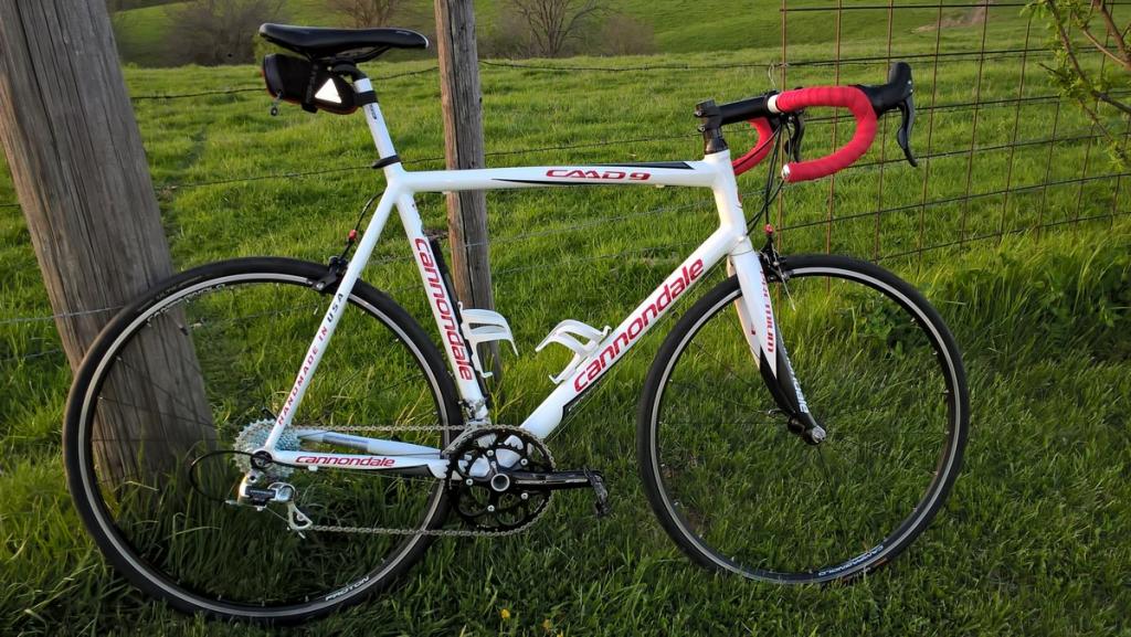 2010 CAAD9.jpg