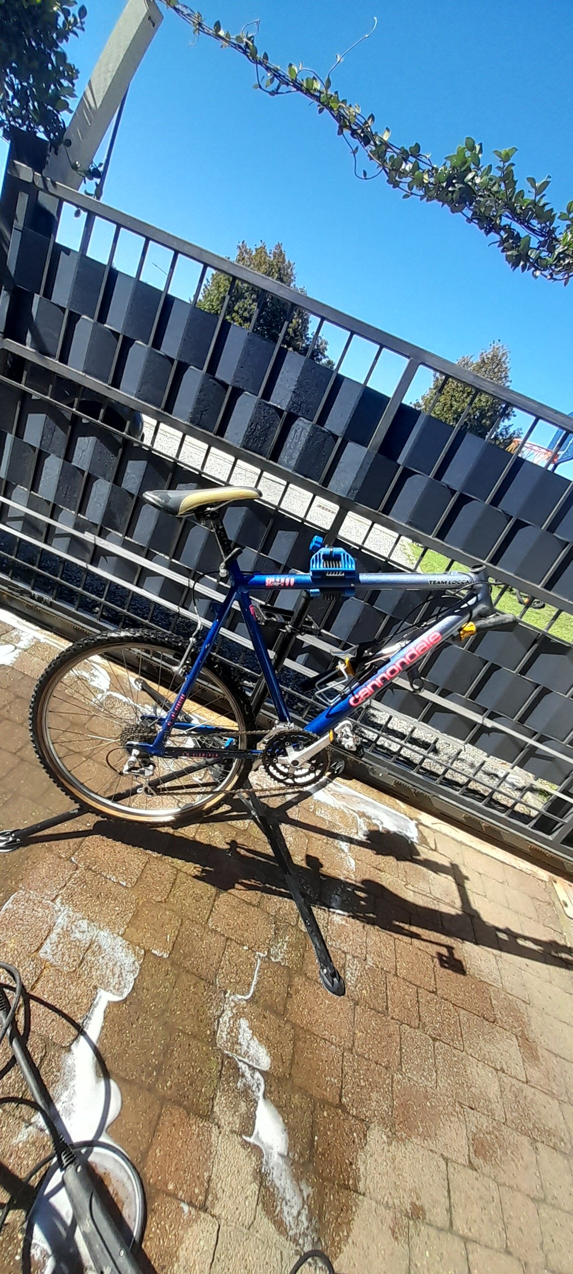 20220917_115755.jpg