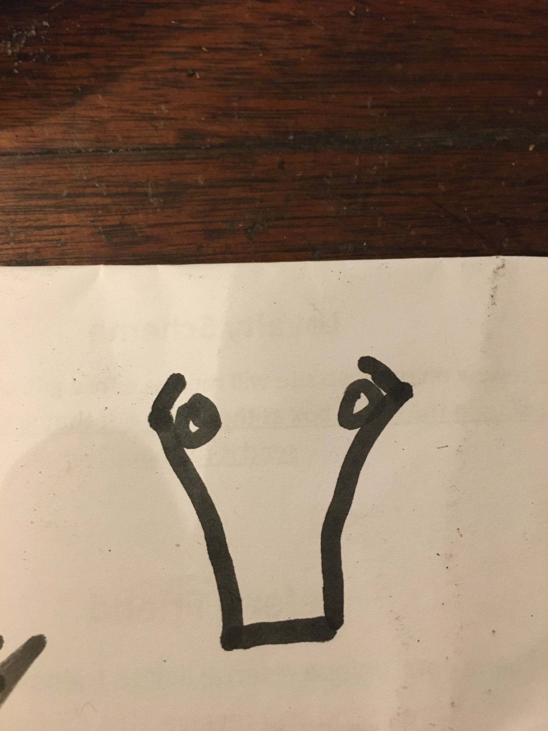 673F2D0E-7263-4AA3-AC29-5704863708AE.jpeg