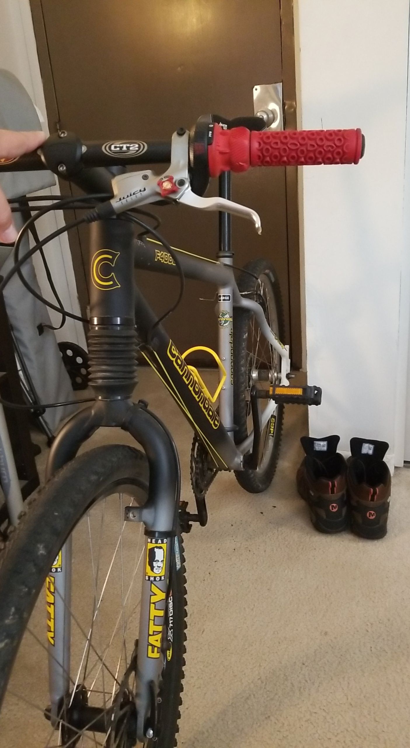 Bike 142076276.jpg