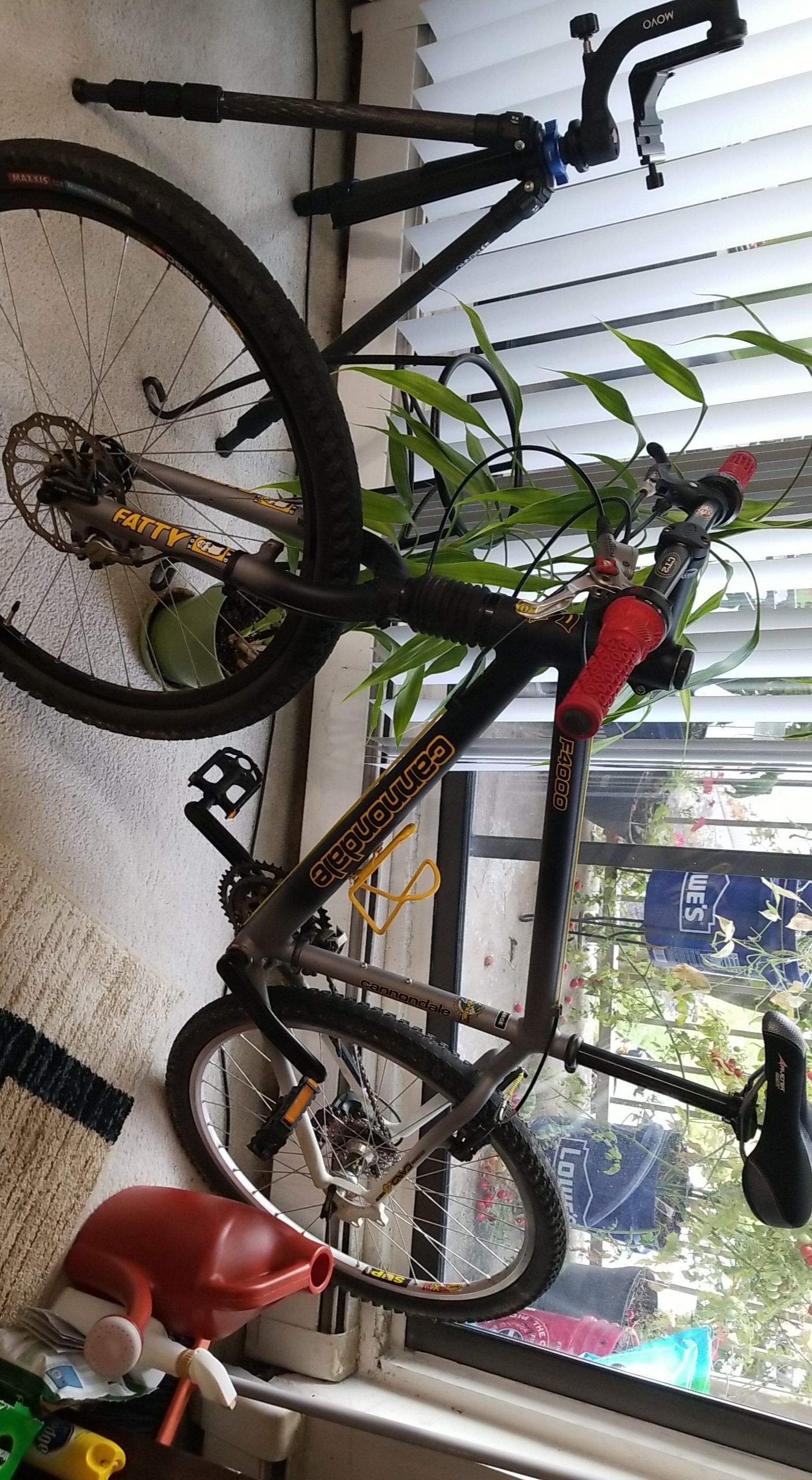 Bike 1551206492.jpg