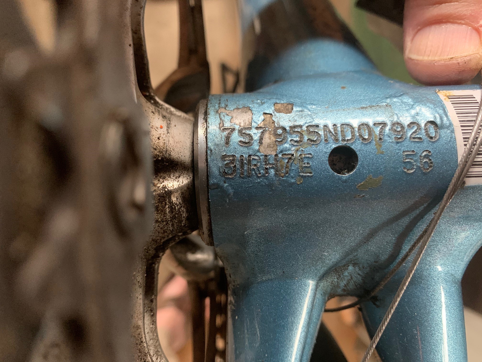 Bike 2.jpg