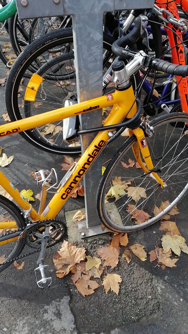 bike.jpg