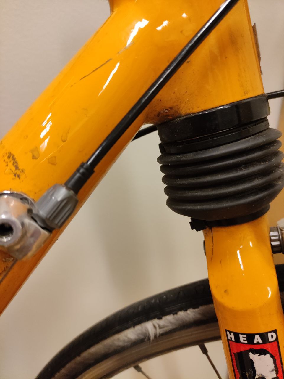 bike2.jpg