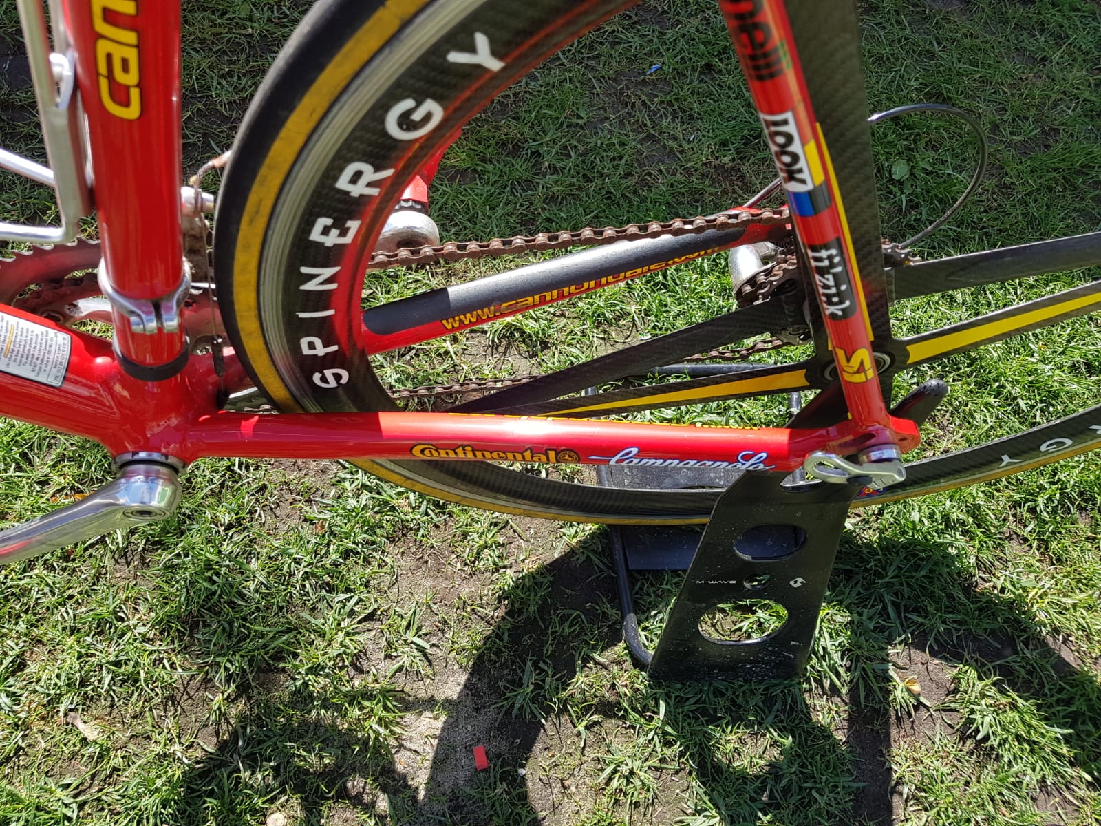 Cannondale 2.jpeg