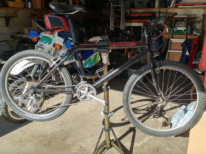 Cannondale and stand.jpg