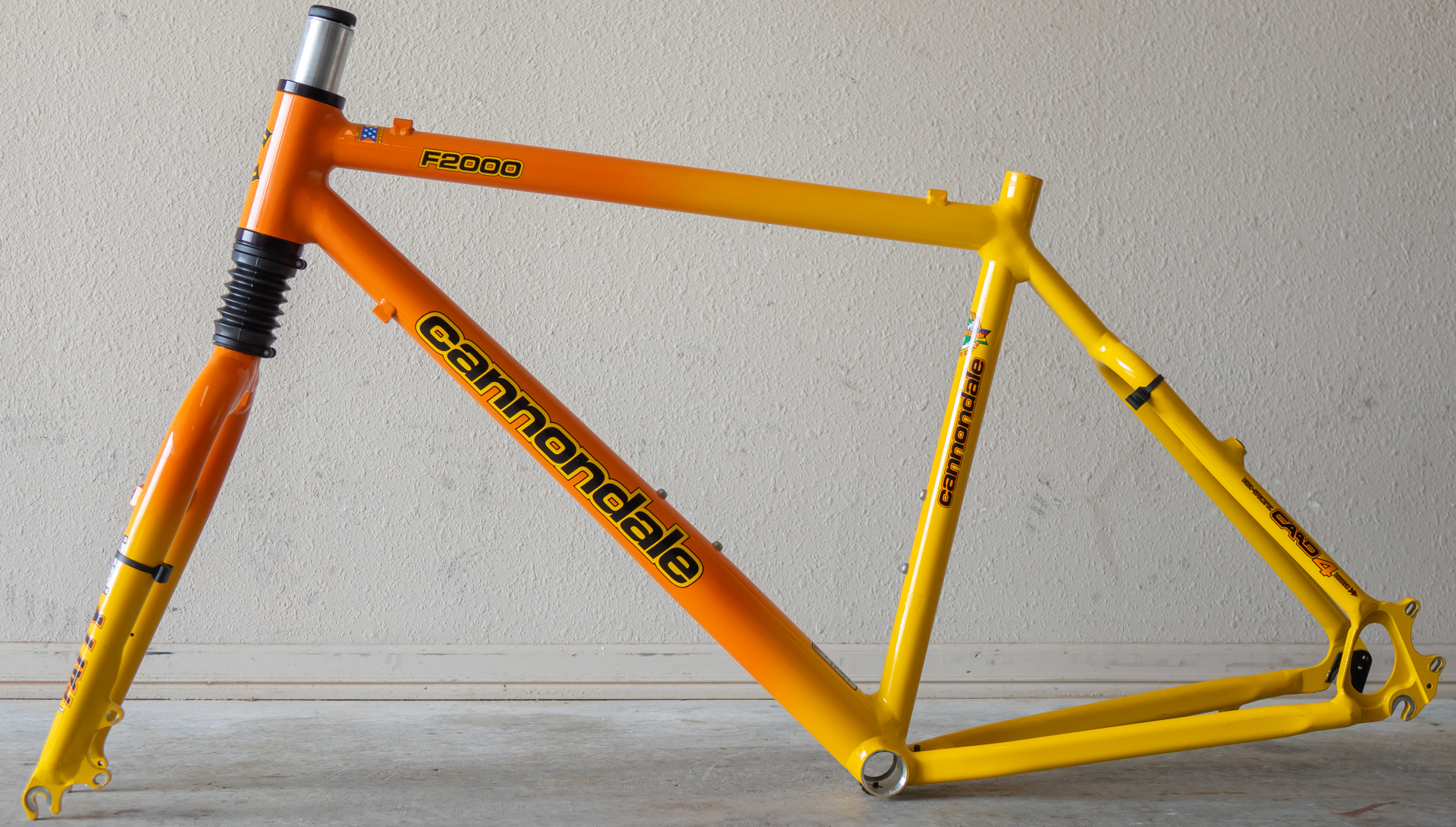 Cannondale-F2000-Frame-1.jpg