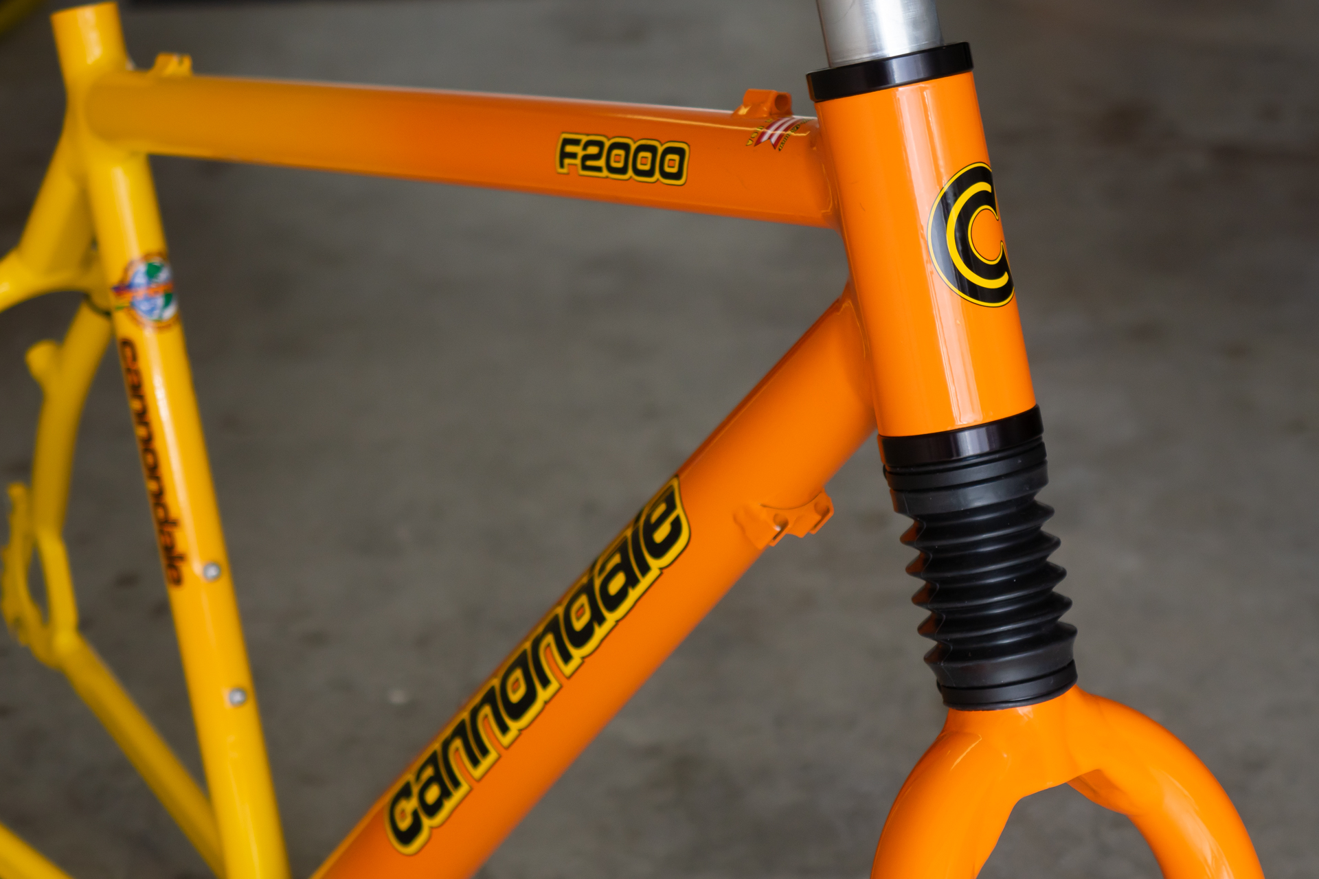 Cannondale-F2000-Frame-8.jpg