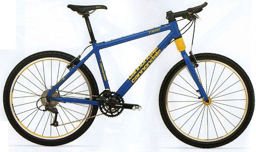 Cannondale-F3000-TeamBlue-01.jpg