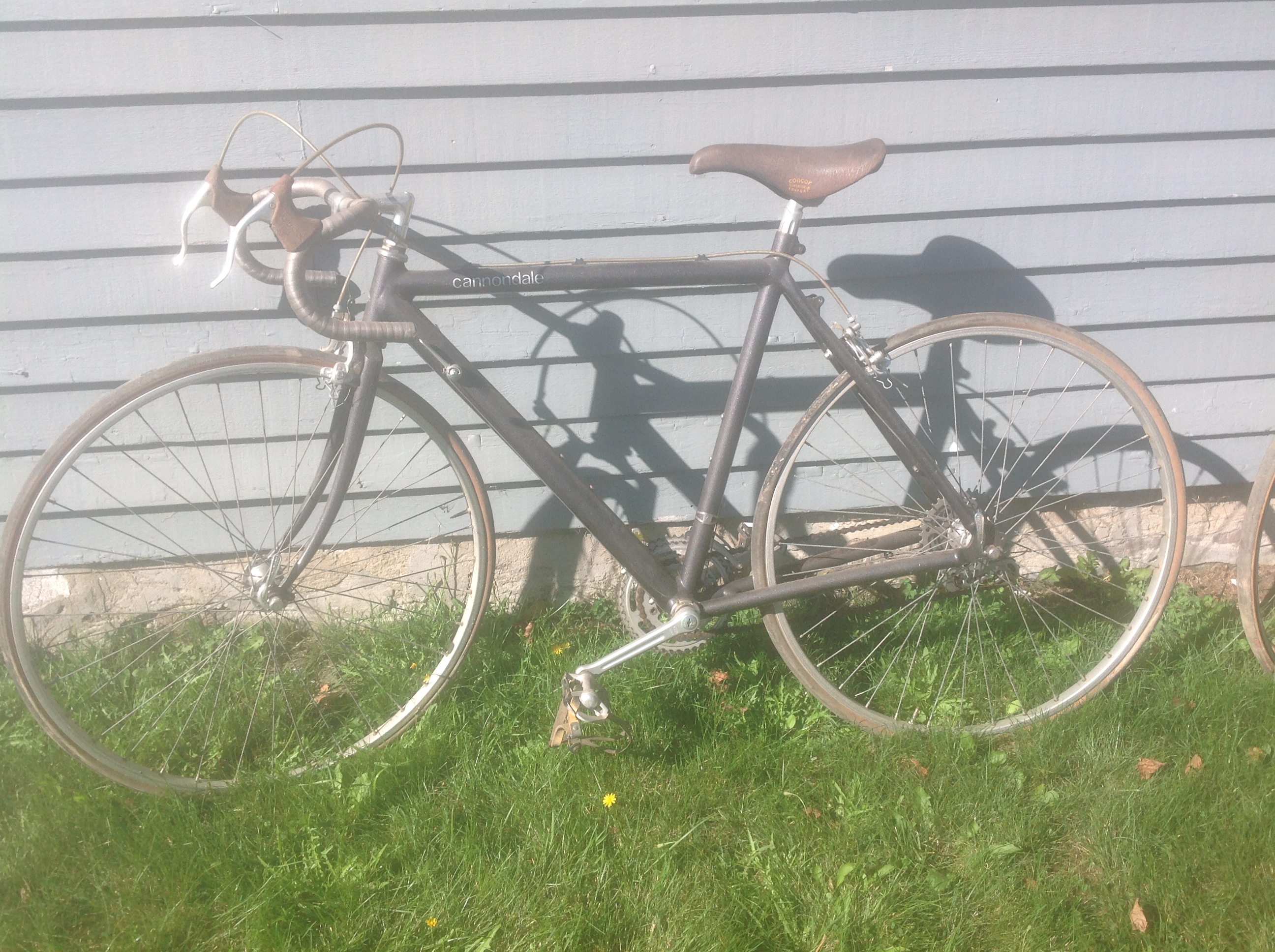 cannondale1.JPG