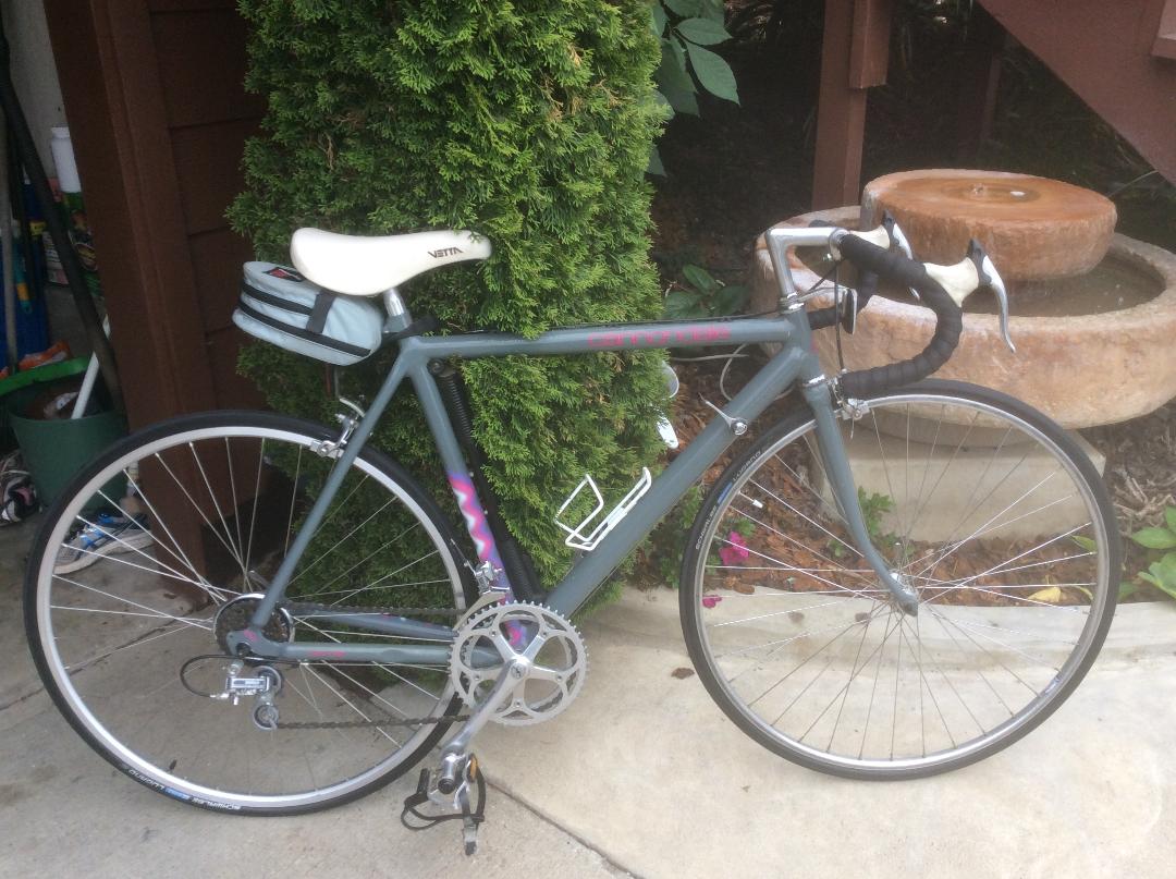 Canondale 53 cm frame.jpg