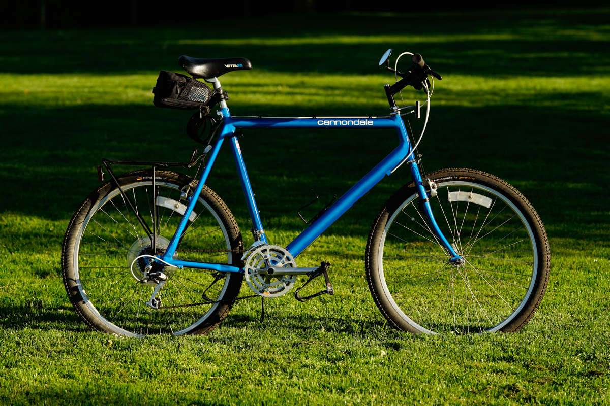 dale-1.jpg