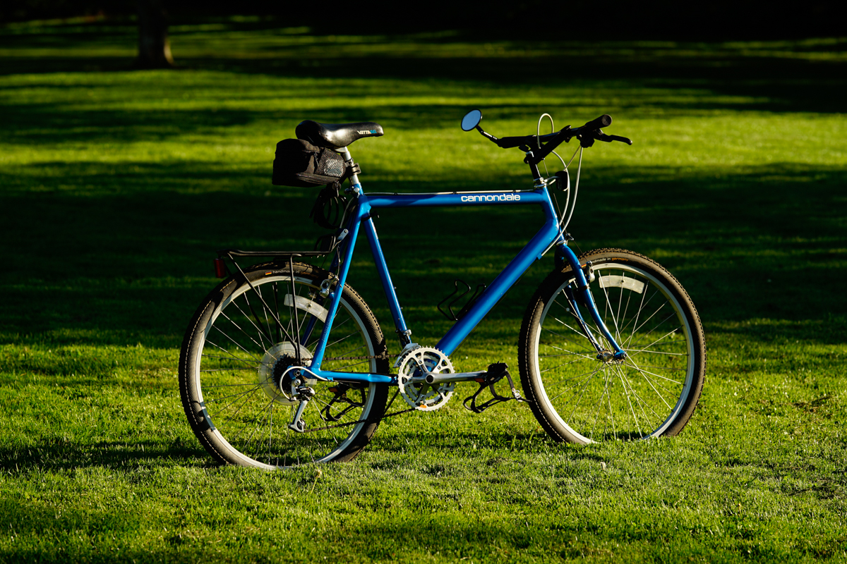 dale-2.jpg