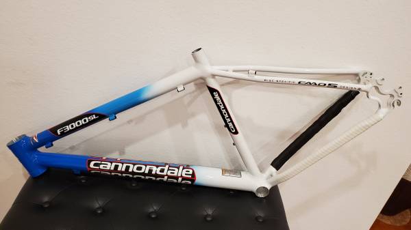 f3000sl_caad5.jpg