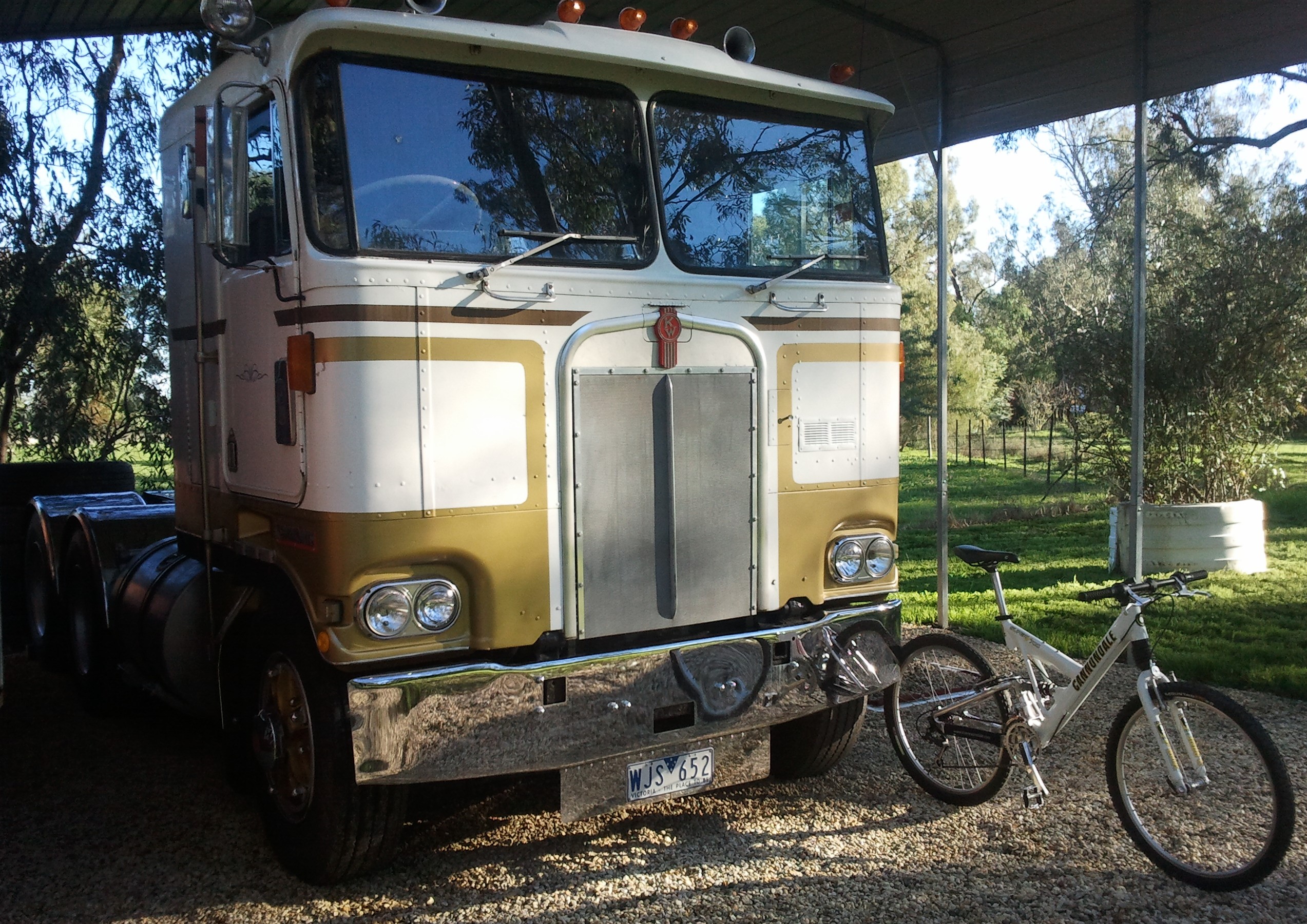 K125 and Pearly.jpg