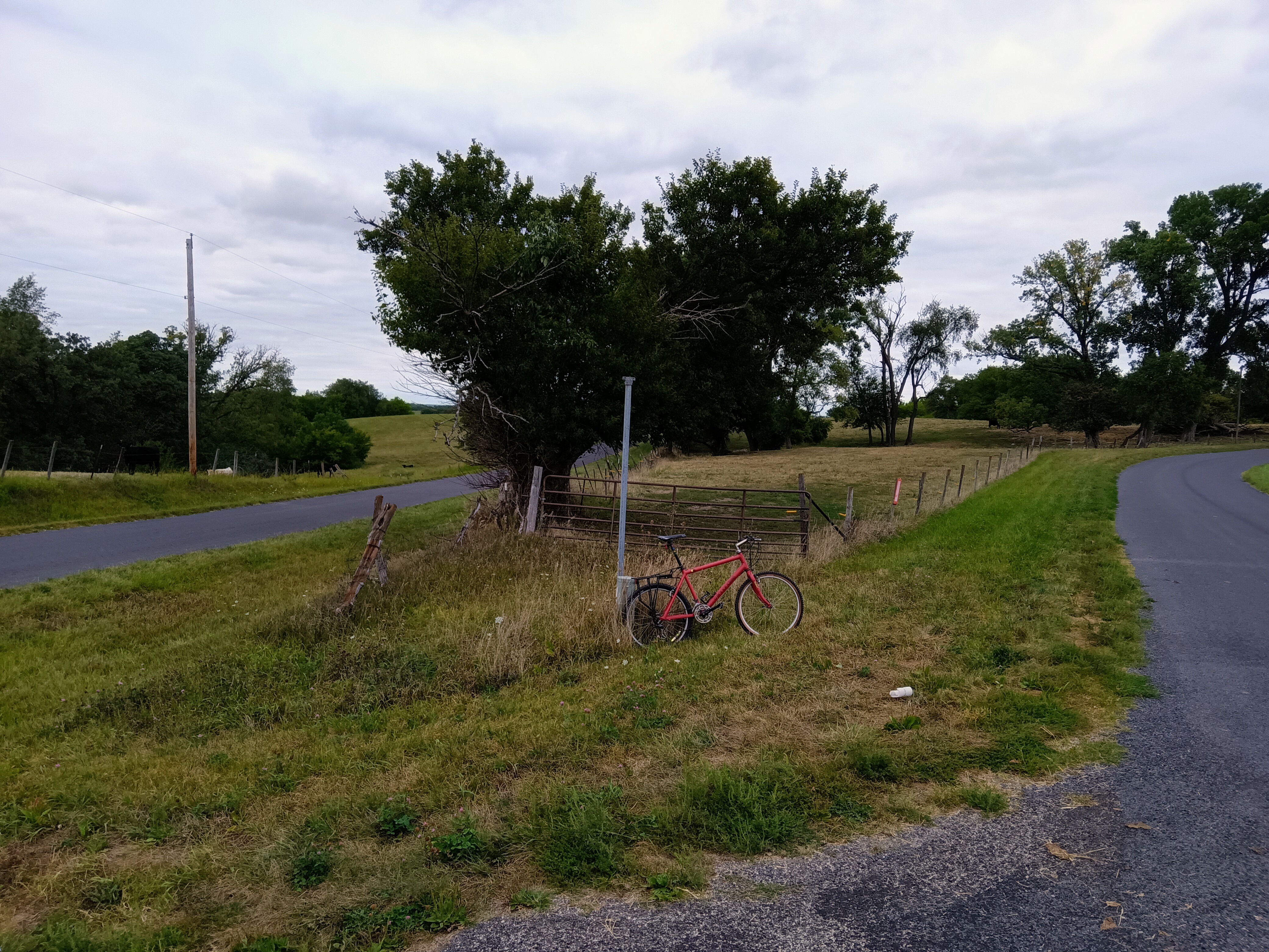 M800 cow country.jpg