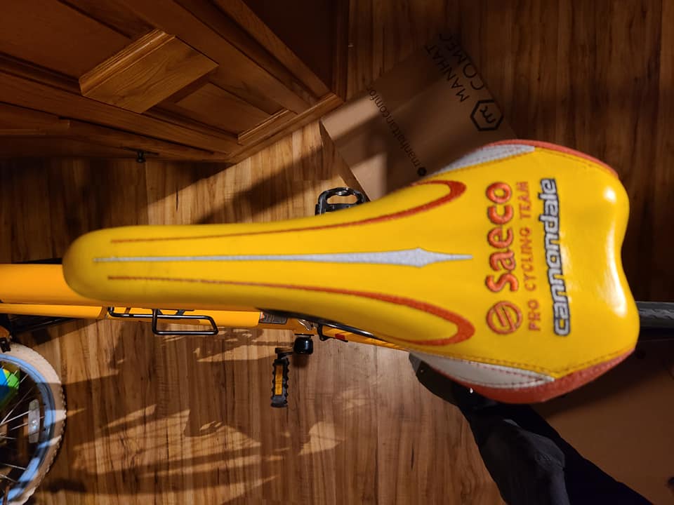 Seaco Saddle.jpg