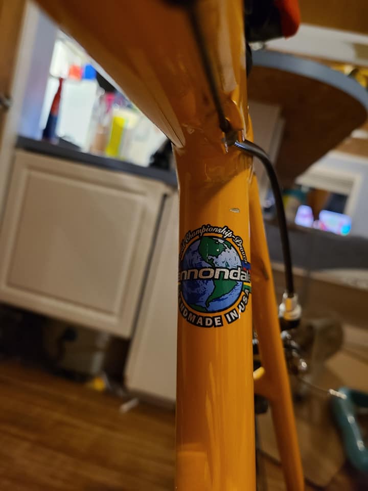 Seat stay emblem.jpg