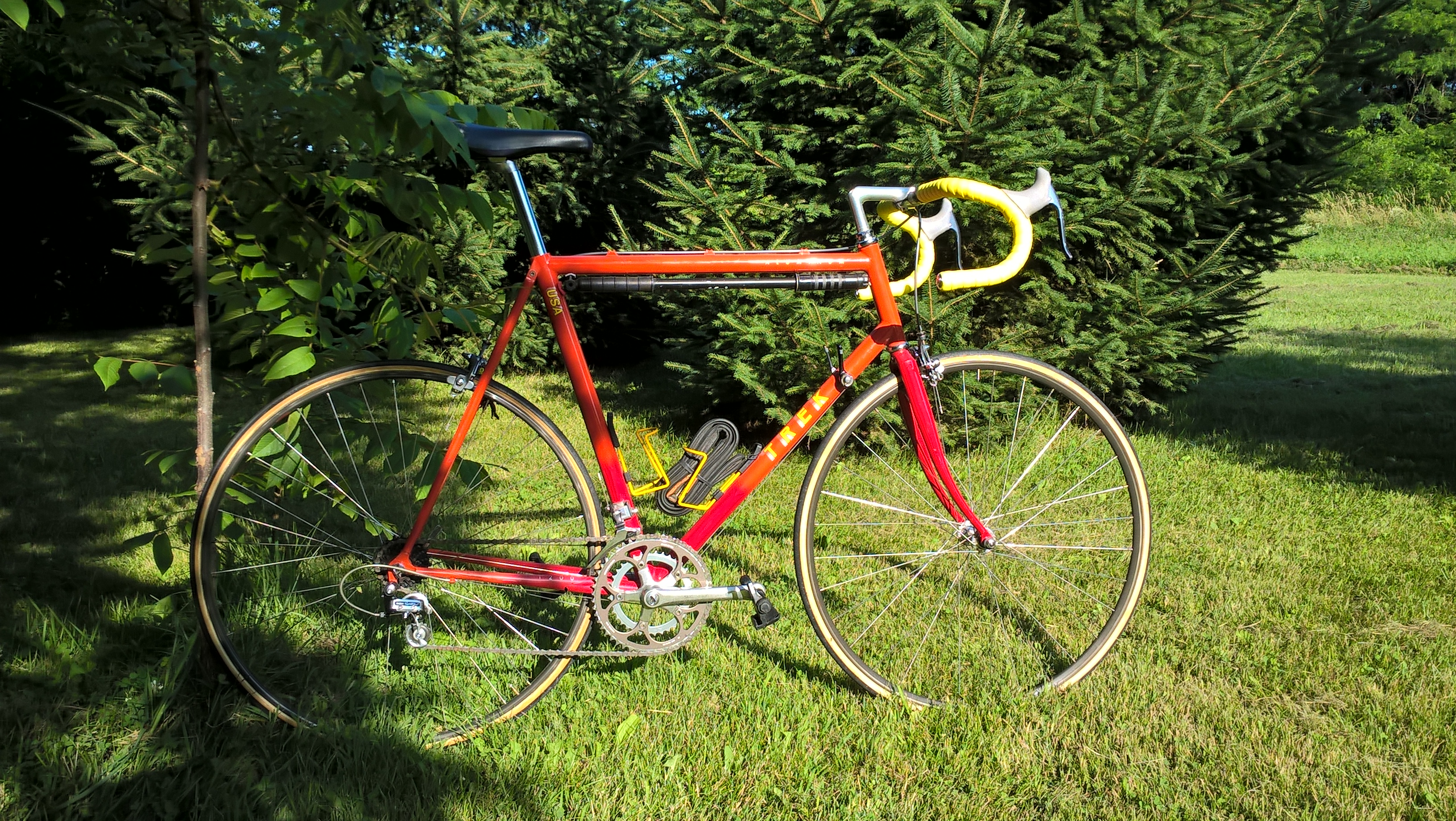 Trek 1200 windbreak trees.jpg