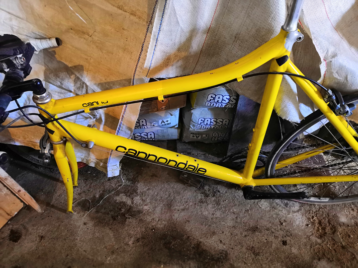 unknown cannondale.jpg