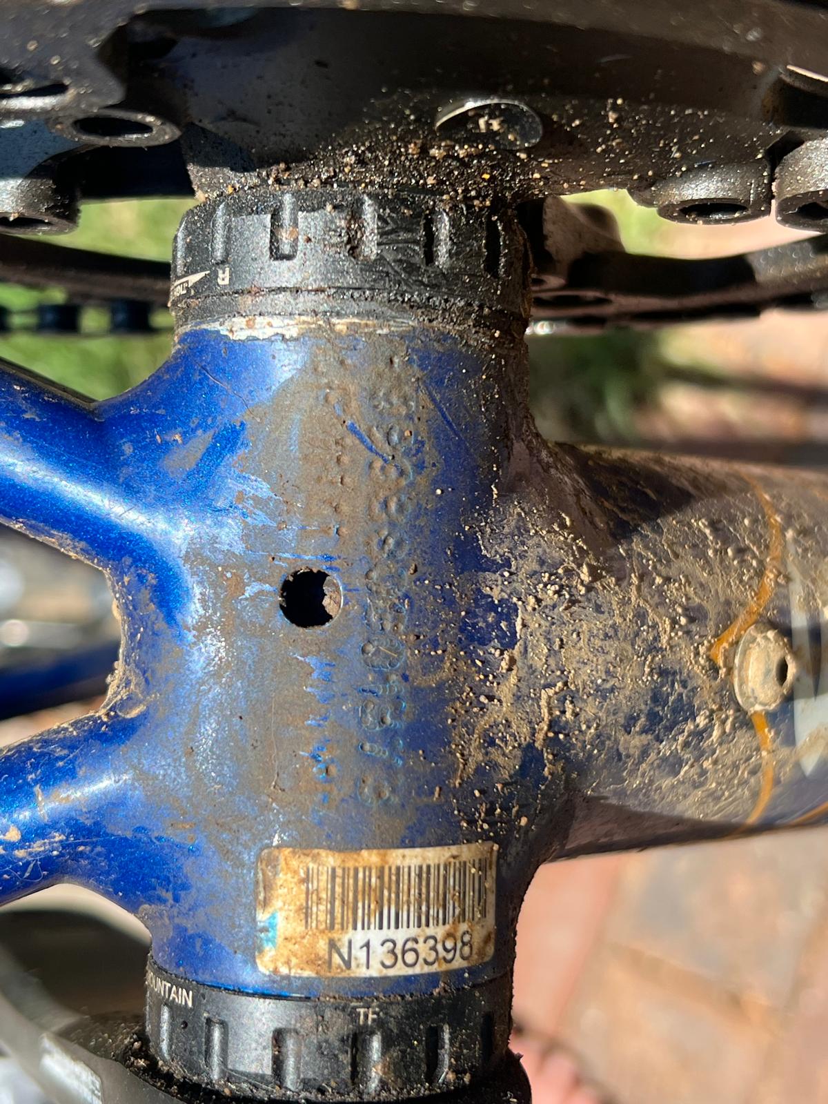 WhatsApp Image 2025-07-13 at 11.38.55_f90fd3a1.jpg