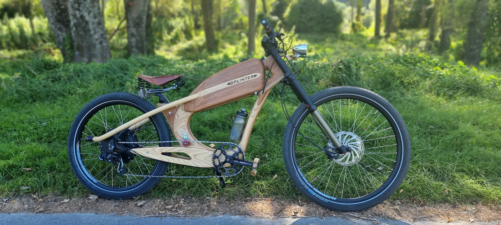 WoodEbike.jpg