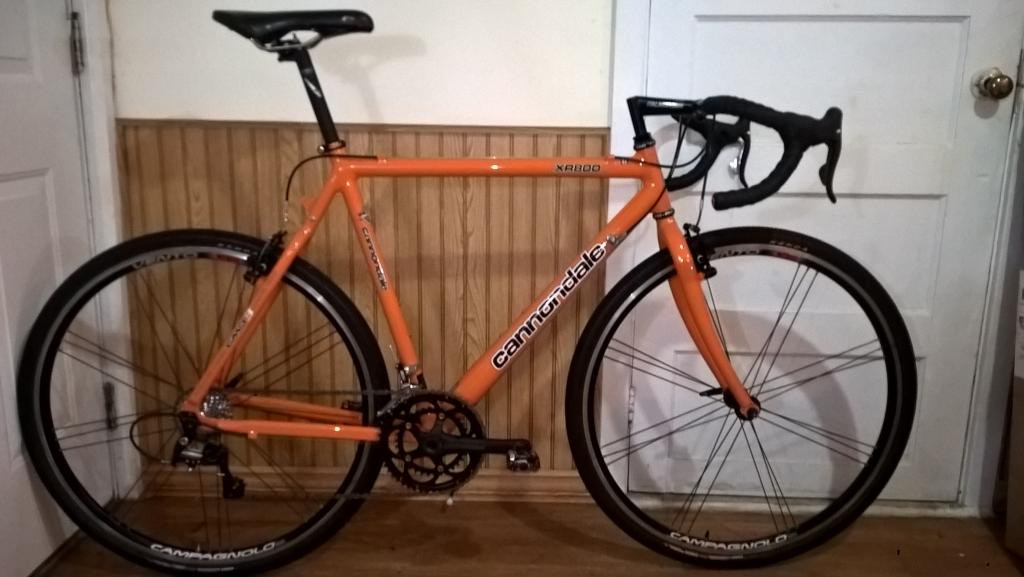 xr800 orange 4.jpg