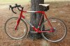 Cyclocross Disc