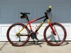 CAAD 3 Race Frame