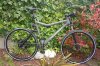 CANNONDALE SCALPEL WAR