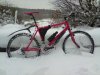 M800 Beast Of The East
