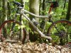 Scalpel Team -TUNE-