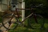 Multisport 1000