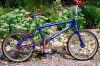  Cannondale Expert 