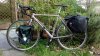Ciclocross xr 800