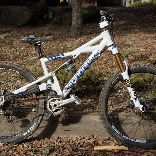 The Prophet MX1