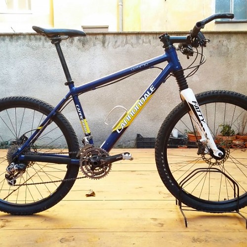 cannondale-optimo-01-750x547.jpg