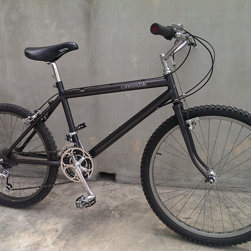 Cannondale SM500