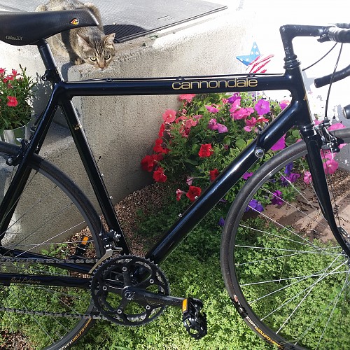 Cannondale SR800 Black Lightning