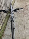 IMG_4237.jpeg
