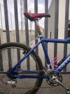 dsc_2614.jpeg