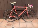 1986 SR800