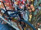 IMG_4868.jpeg