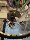 IMG_2788.jpeg