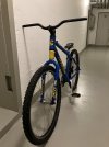 IMG_1384.jpeg