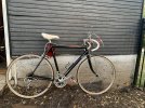 IMG_8393.jpeg