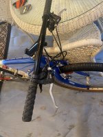 IMG_4456.jpeg