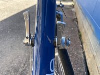 IMG_4937.jpeg